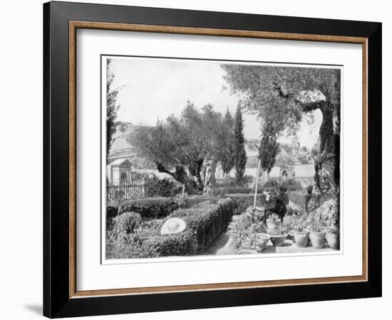 The Garden of Gethsemane, Palestine, Late 19th Century-John L Stoddard-Framed Giclee Print