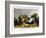 The garden of Gethsemane-Stocktrek Images-Framed Art Print