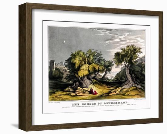 The garden of Gethsemane-Stocktrek Images-Framed Art Print