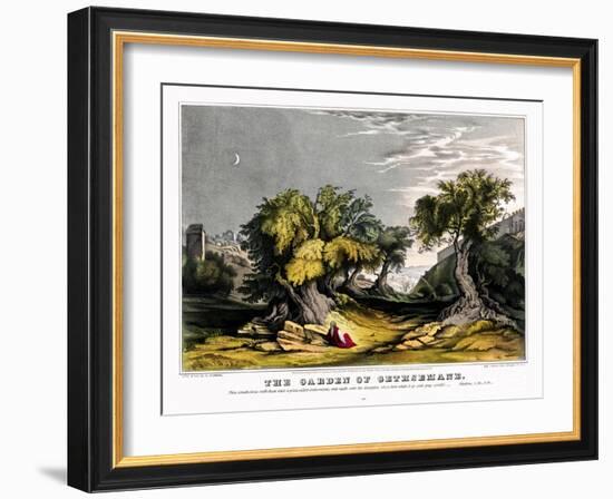 The garden of Gethsemane-Stocktrek Images-Framed Art Print