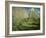 The Garden of Hoschede Family, 1881-Alfred Sisley-Framed Giclee Print