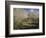 The Garden of Monsieur Hoschedé in Montgeron, 1881-Alfred Sisley-Framed Giclee Print