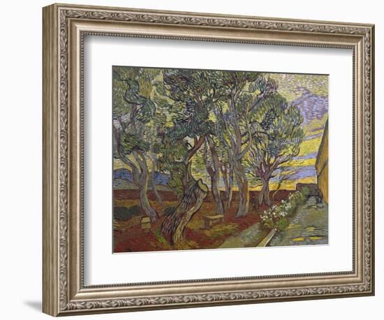 The Garden of Saint Paul's Hospital, 1889-Vincent van Gogh-Framed Giclee Print