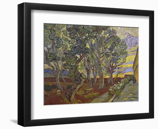 The Garden of Saint Paul's Hospital, 1889-Vincent van Gogh-Framed Giclee Print