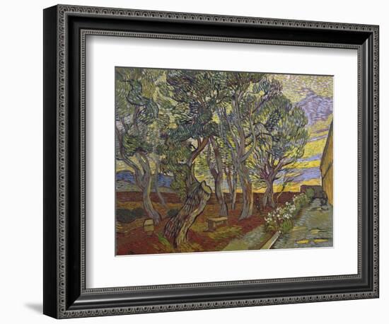 The Garden of Saint Paul's Hospital, 1889-Vincent van Gogh-Framed Giclee Print