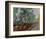 The Garden of Saint Paul's Hospital II-Vincent van Gogh-Framed Giclee Print