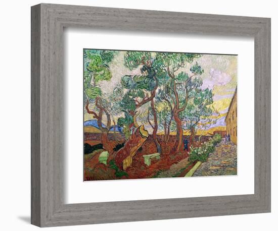 The Garden of St. Paul's Hospital at St. Remy, 1889-Vincent van Gogh-Framed Giclee Print