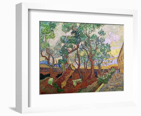 The Garden of St. Paul's Hospital at St. Remy, 1889-Vincent van Gogh-Framed Giclee Print