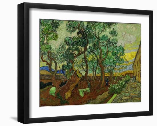 The Garden of St. Paul's Hospital at St. Remy, c.1889-Vincent van Gogh-Framed Giclee Print