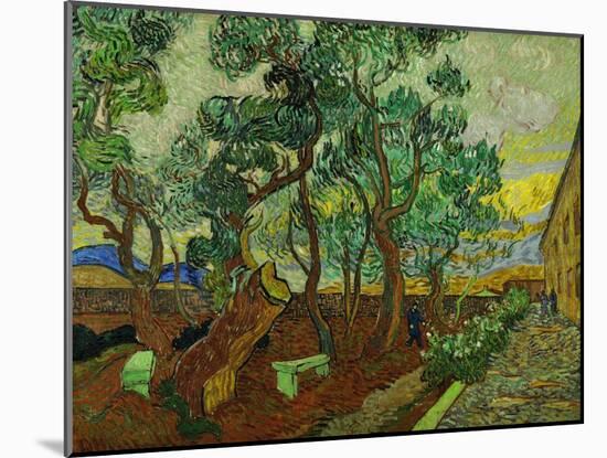 The Garden of St. Paul's Hospital at St. Remy, c.1889-Vincent van Gogh-Mounted Giclee Print