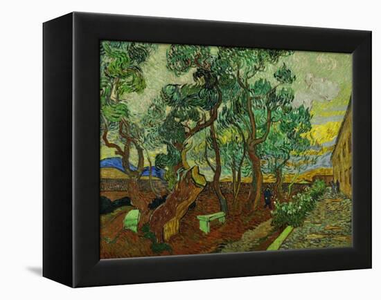 The Garden of St. Paul's Hospital at St. Remy, c.1889-Vincent van Gogh-Framed Premier Image Canvas