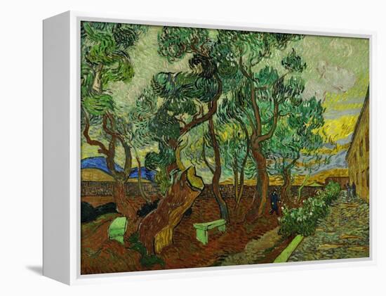 The Garden of St. Paul's Hospital at St. Remy, c.1889-Vincent van Gogh-Framed Premier Image Canvas