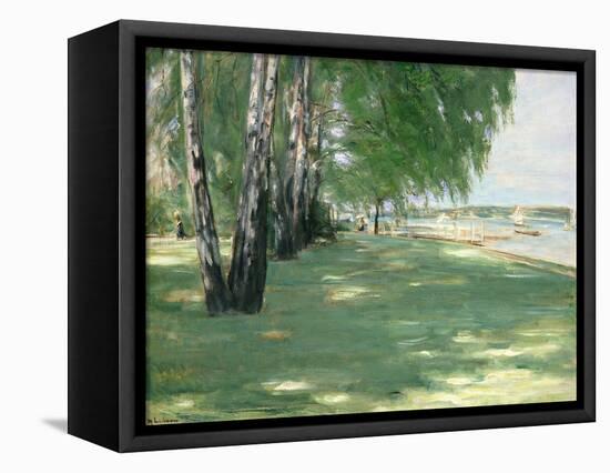 The Garden of the Artist in Wannsee, 1918-Max Liebermann-Framed Premier Image Canvas