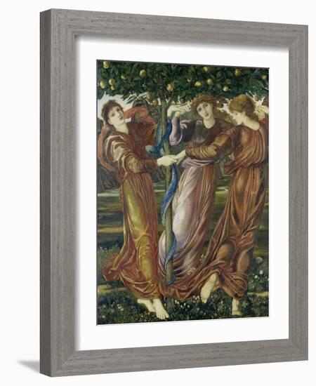 The Garden of the Hesperides, 1873-Edward Burne-Jones-Framed Giclee Print