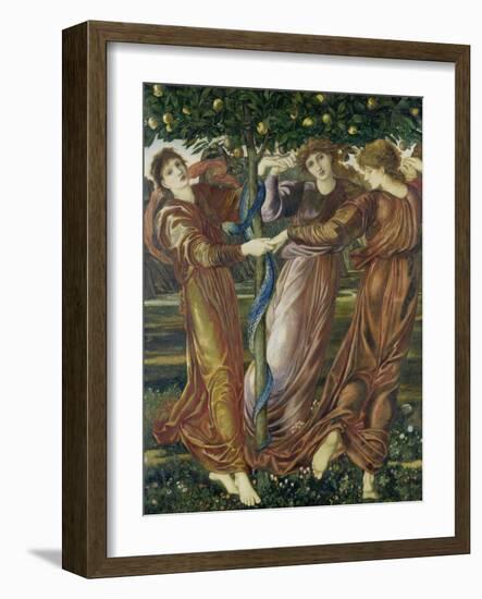 The Garden of the Hesperides, 1873-Edward Burne-Jones-Framed Giclee Print