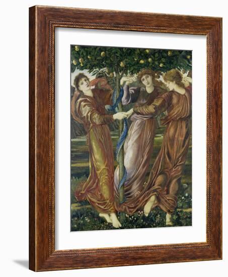 The Garden of the Hesperides, 1873-Edward Burne-Jones-Framed Giclee Print