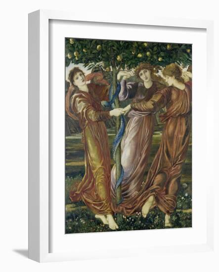 The Garden of the Hesperides, 1873-Edward Burne-Jones-Framed Giclee Print