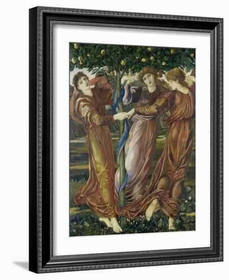 The Garden of the Hesperides, 1873-Edward Burne-Jones-Framed Giclee Print