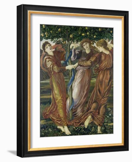 The Garden of the Hesperides, 1873-Edward Burne-Jones-Framed Giclee Print
