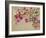 The Garden of the Rose II-Nel Whatmore-Framed Giclee Print