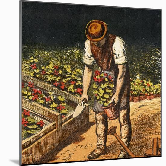 The Gardener, 1867-null-Mounted Giclee Print