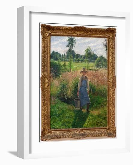 The Gardener. Painting by Camille Pissaro (1830-1903), Oil on Canvas, 1899. 19Th Century French Art-Camille Pissarro-Framed Giclee Print