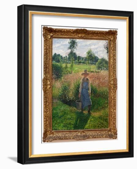 The Gardener. Painting by Camille Pissaro (1830-1903), Oil on Canvas, 1899. 19Th Century French Art-Camille Pissarro-Framed Giclee Print