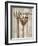 The Gardener's Tools-Mark Chandon-Framed Giclee Print