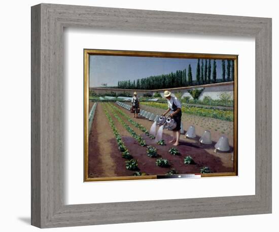 The Gardeners. Two Men with their Watering Cans Irrigate their Plantation. near Them, Glass Bells U-Gustave Caillebotte-Framed Giclee Print