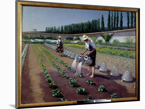 The Gardeners. Two Men with their Watering Cans Irrigate their Plantation. near Them, Glass Bells U-Gustave Caillebotte-Mounted Giclee Print