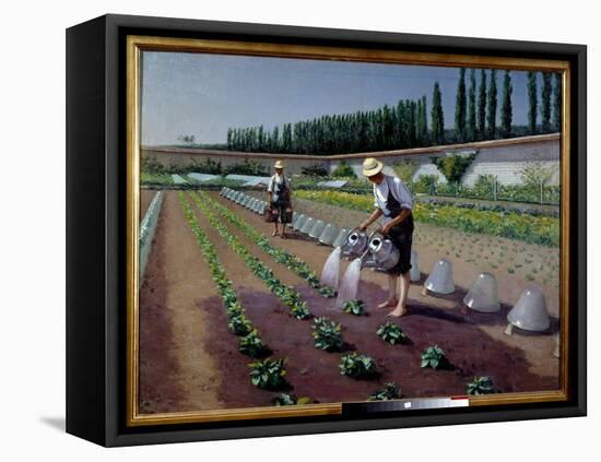 The Gardeners. Two Men with their Watering Cans Irrigate their Plantation. near Them, Glass Bells U-Gustave Caillebotte-Framed Premier Image Canvas