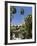 The Gardens of the Real Alcazar, Santa Cruz District, Seville, Andalusia (Andalucia), Spain, Europe-Robert Harding-Framed Photographic Print