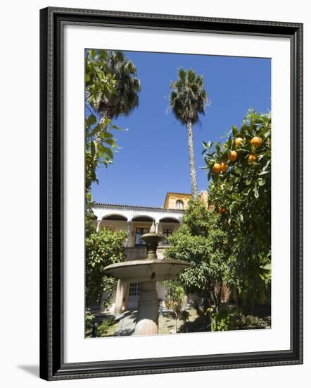 The Gardens of the Real Alcazar, Santa Cruz District, Seville, Andalusia (Andalucia), Spain, Europe-Robert Harding-Framed Photographic Print