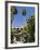 The Gardens of the Real Alcazar, Santa Cruz District, Seville, Andalusia (Andalucia), Spain, Europe-Robert Harding-Framed Photographic Print