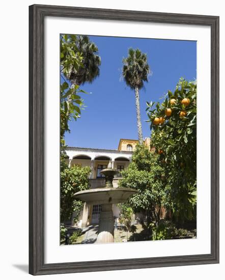 The Gardens of the Real Alcazar, Santa Cruz District, Seville, Andalusia (Andalucia), Spain, Europe-Robert Harding-Framed Photographic Print