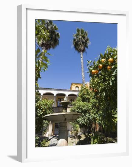 The Gardens of the Real Alcazar, Santa Cruz District, Seville, Andalusia (Andalucia), Spain, Europe-Robert Harding-Framed Photographic Print