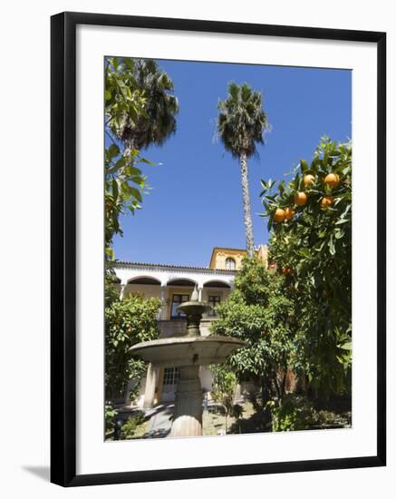 The Gardens of the Real Alcazar, Santa Cruz District, Seville, Andalusia (Andalucia), Spain, Europe-Robert Harding-Framed Photographic Print