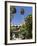 The Gardens of the Real Alcazar, Santa Cruz District, Seville, Andalusia (Andalucia), Spain, Europe-Robert Harding-Framed Photographic Print