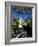 The Gardens of the Reales Alcazares (Alcazar), Seville, Andalucia (Andalusia), Spain, Europe-Ruth Tomlinson-Framed Photographic Print