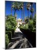 The Gardens of the Reales Alcazares (Alcazar), Seville, Andalucia (Andalusia), Spain, Europe-Ruth Tomlinson-Mounted Photographic Print