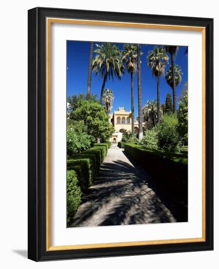 The Gardens of the Reales Alcazares (Alcazar), Seville, Andalucia (Andalusia), Spain, Europe-Ruth Tomlinson-Framed Photographic Print