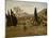 The Gardens of Villa D'Este, 1843-Jean-Baptiste-Camille Corot-Mounted Giclee Print