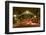 The Gaslamp Quarter in Downtown San Diego, Ca-Andrew Shoemaker-Framed Photographic Print