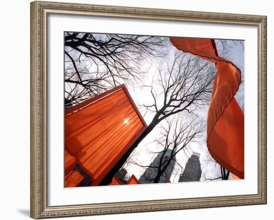 "The Gates" are Shown in Central Park in New York with Flowing Fabric the Color of a Sunrise-null-Framed Photographic Print