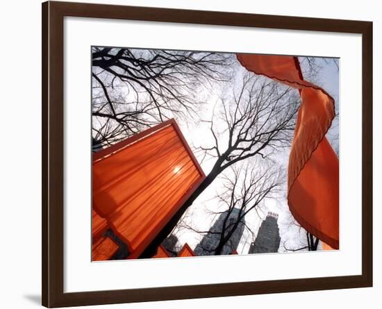 "The Gates" are Shown in Central Park in New York with Flowing Fabric the Color of a Sunrise-null-Framed Photographic Print