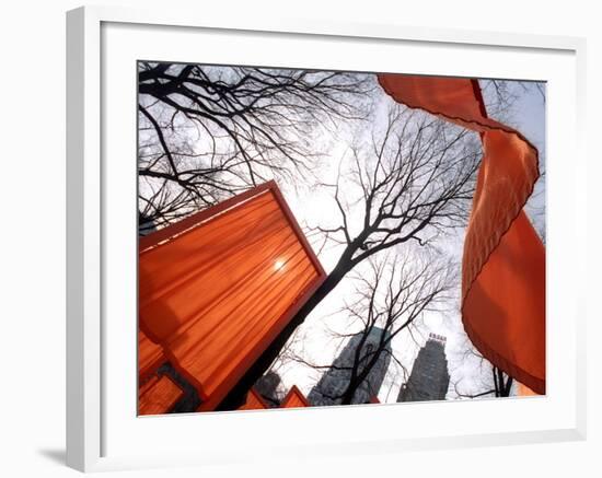 "The Gates" are Shown in Central Park in New York with Flowing Fabric the Color of a Sunrise-null-Framed Photographic Print