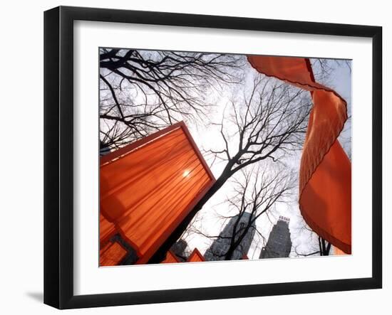 "The Gates" are Shown in Central Park in New York with Flowing Fabric the Color of a Sunrise-null-Framed Photographic Print