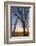 The Gateway Arch in St. Louis, Missouri at Sunrise. Jefferson Memorial-Jerry & Marcy Monkman-Framed Photographic Print