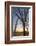 The Gateway Arch in St. Louis, Missouri at Sunrise. Jefferson Memorial-Jerry & Marcy Monkman-Framed Photographic Print