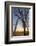 The Gateway Arch in St. Louis, Missouri at Sunrise. Jefferson Memorial-Jerry & Marcy Monkman-Framed Photographic Print